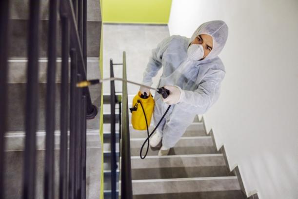 désinfection locaux